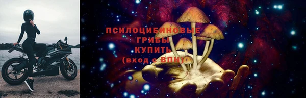 крисы Армянск