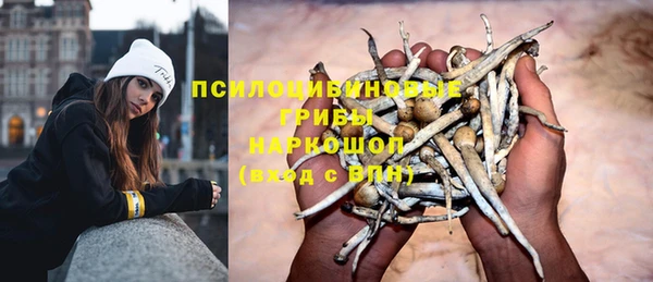 таблы Арсеньев