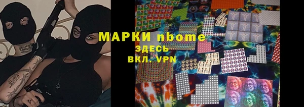 прущие грибы Сатка